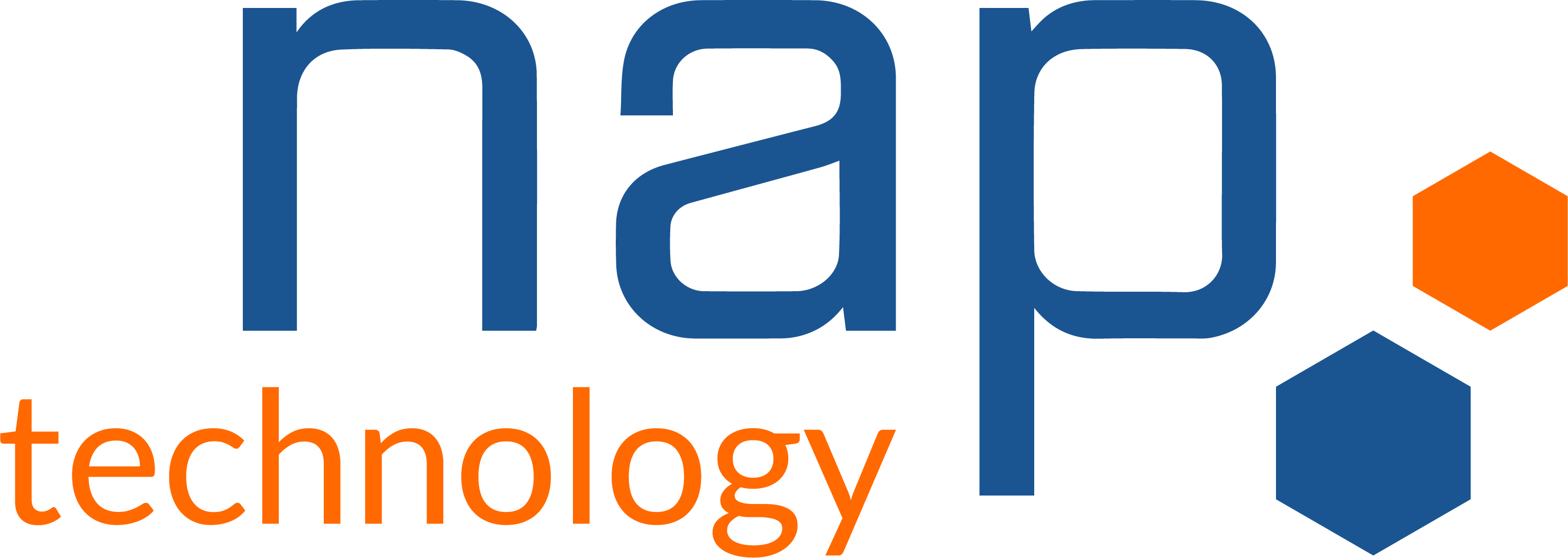 Logo NAP